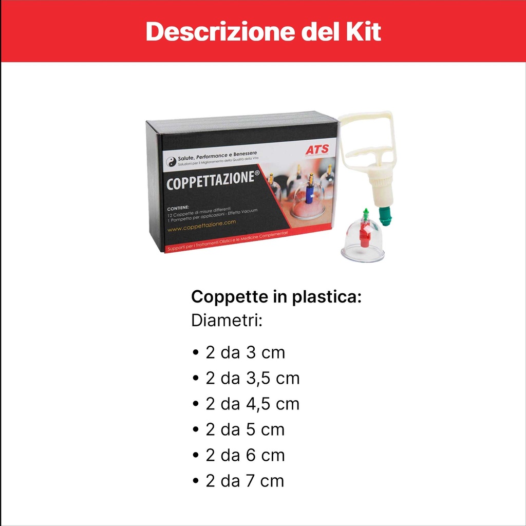 Kit 12 Coppette
