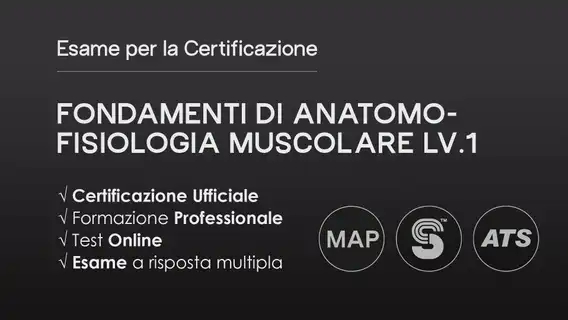 Fondamenti di Anatomo-Fisiologia Muscolare Lv.1