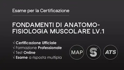 Fondamenti di Anatomo-Fisiologia Muscolare Lv.1