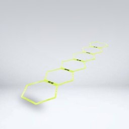 Hexagon Ladder Agility Training